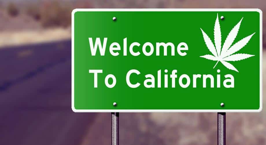Growing and selling cannabis in California