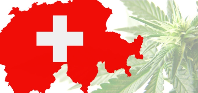 Production and sale of cannabis products containing products in Switzerland