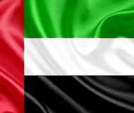 Аргентина, Великобритания, ОАЭ (UAE), Сальвадор, Сингапур, США (USA)