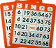 Obtaining a Bingo License