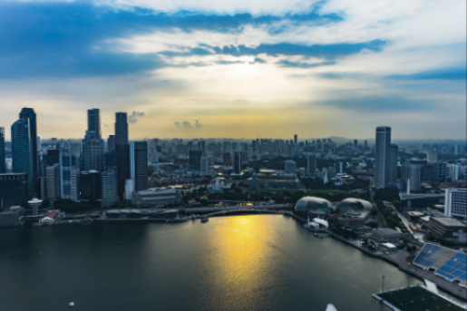 Этапы получения электронной лицензии - Сингапур.