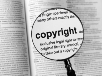 Designated DMCA Agent