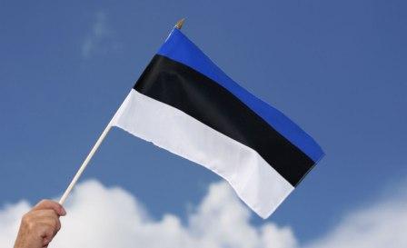 Получить инвестиционную лицензию в Эстонии